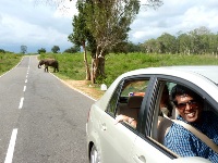 Amara Tours - Sri Lanka - Chauffeur Guide Lecturer