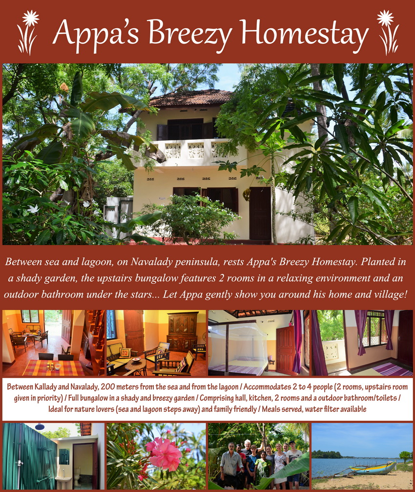 Homestays in Batticaloa - Navalady - Appa's Breezy Homestay