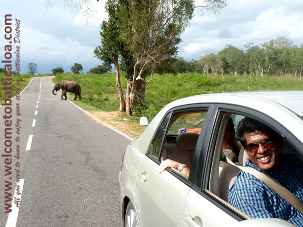 Amara Tours 08 - Sri Lanka - Chauffeur Guide Lecturer