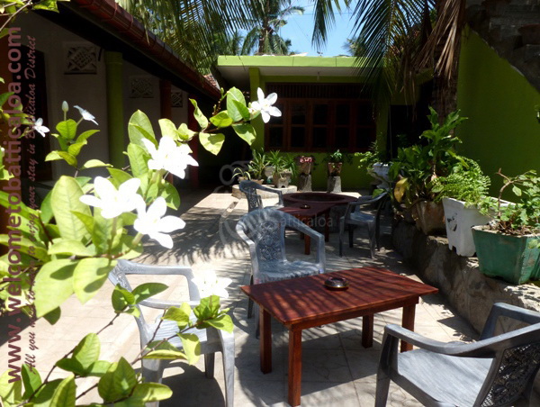 Avonlea Inn 13 - Kallady Guesthouse - Welcome To Batticaloa