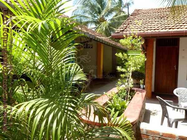 Avonlea Inn 20 - Kallady Guesthouse - Welcome To Batticaloa