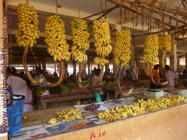 Batticaloa Market 01 - Visits & Activities - Welcome to Batticaloa