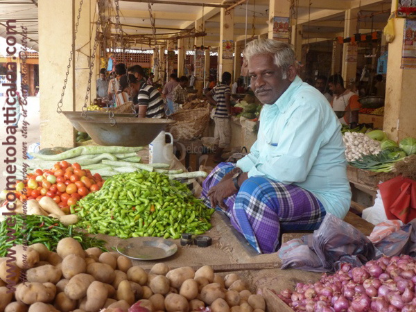 Batticaloa Market 04 - Visits & Activities - Welcome to Batticaloa