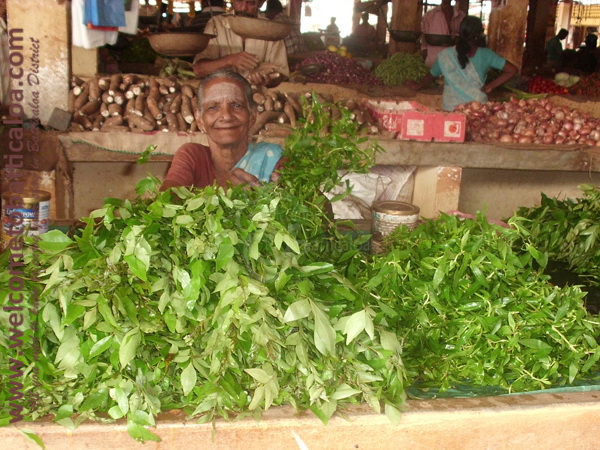 Batticaloa Market 05 - Visits & Activities - Welcome to Batticaloa