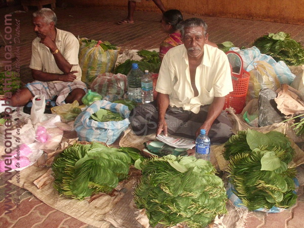 Batticaloa Market 06 - Visits & Activities - Welcome to Batticaloa