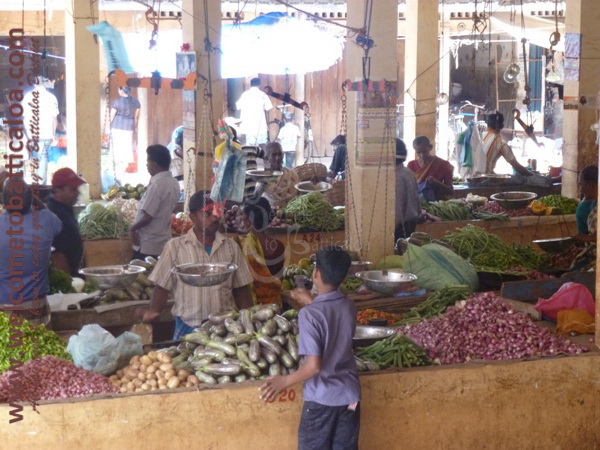 Batticaloa Market 13 - Visits & Activities - Welcome to Batticaloa