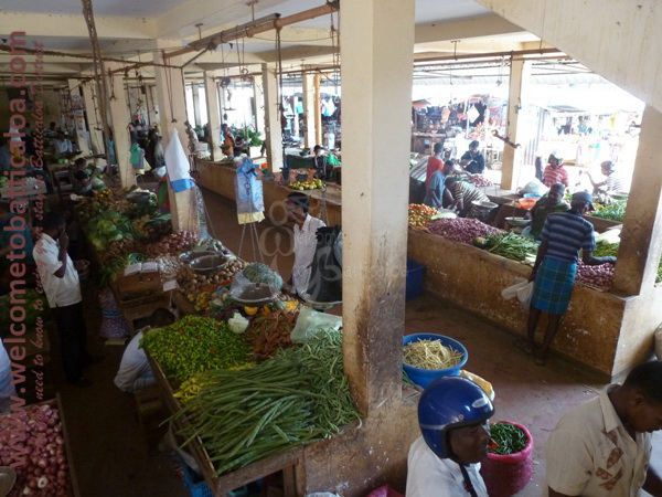 Batticaloa Market 14 - Visits & Activities - Welcome to Batticaloa