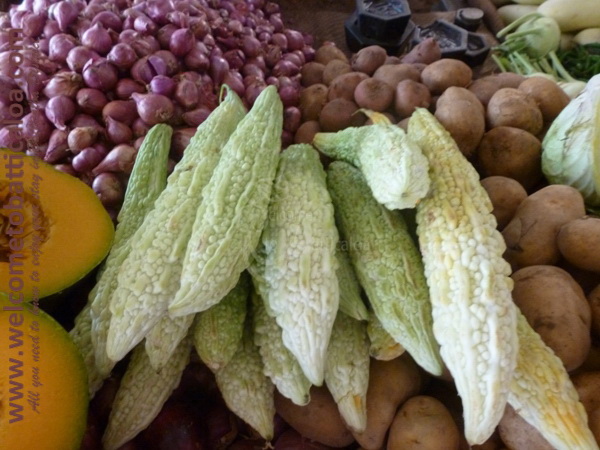 Batticaloa Market 16 - Visits & Activities - Welcome to Batticaloa