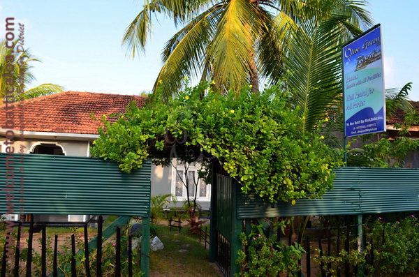 Olive Green Resort 03 - Kallady Guesthouse - Welcome to Batticaloa
