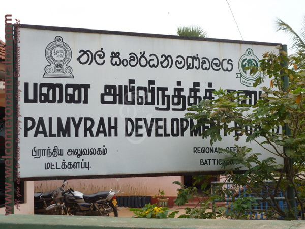 Palmyrah Development Board Outlet 01 - Visits & Activities - Welcome to Batticaloa