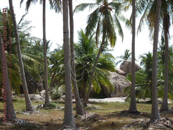 Passikudah & Kalkudah Beaches 23 - Visits & Activities - Welcome to Batticaloa