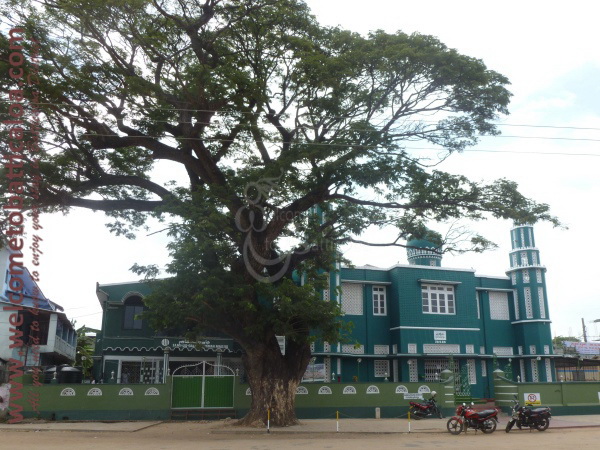 Puliyanthivu 16 - Visits & Activities - Welcome to Batticaloa