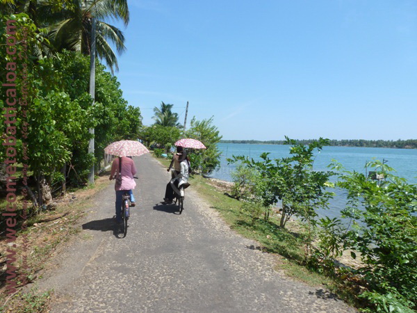 Sinna Uppodai Lagoon 04 - Visits & Activities - Welcome to Batticaloa