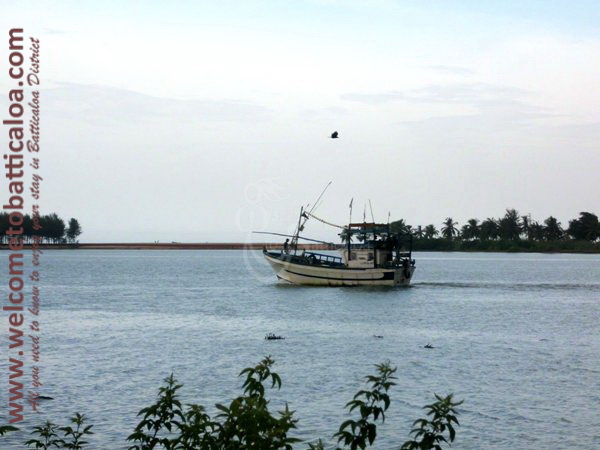 Sinna Uppodai Lagoon 06 - Visits & Activities - Welcome to Batticaloa