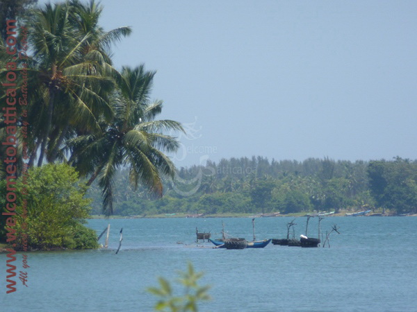Sinna Uppodai Lagoon 11 - Visits & Activities - Welcome to Batticaloa