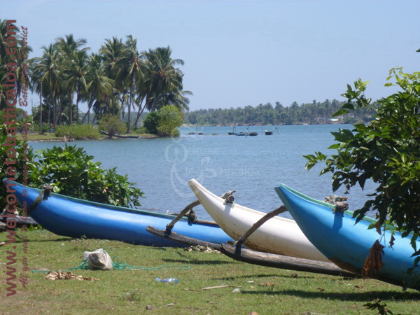 Sinna Uppodai Lagoon 18 - Visits & Activities - Welcome to Batticaloa