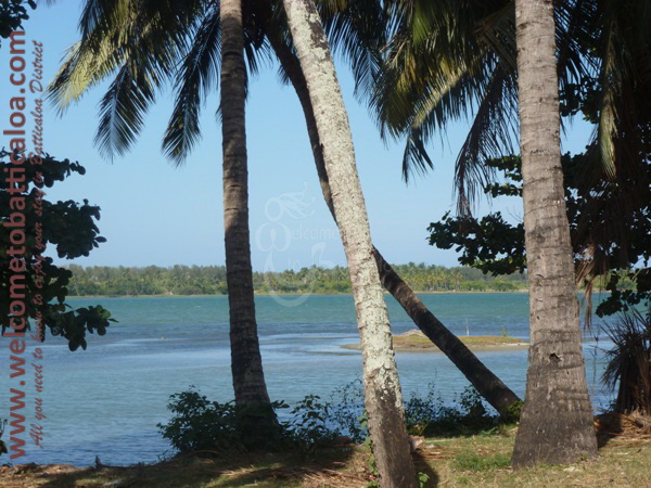 Sinna Uppodai Lagoon 26 - Visits & Activities - Welcome to Batticaloa
