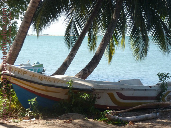 Sinna Uppodai Lagoon 27 - Visits & Activities - Welcome to Batticaloa
