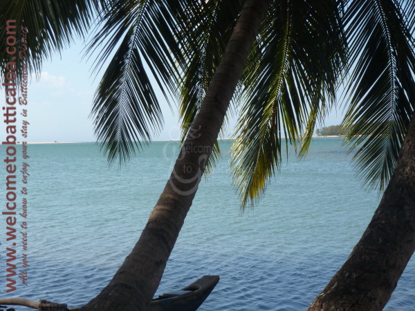 Sinna Uppodai Lagoon 28 - Visits & Activities - Welcome to Batticaloa