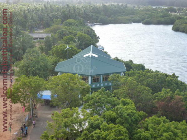 Sinna Uppodai Lagoon 32 - Visits & Activities - Welcome to Batticaloa
