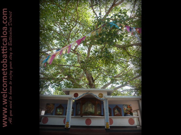 Sri Mangalarama Buddhist Temple 04 - Welcome to Batticaloa
