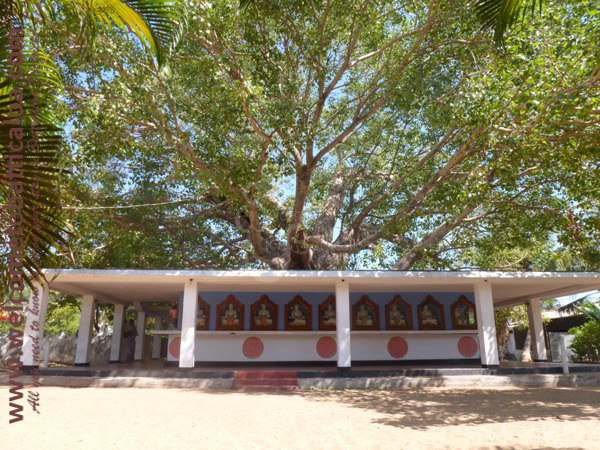 Sri Mangalarama Buddhist Temple 14 - Welcome to Batticaloa