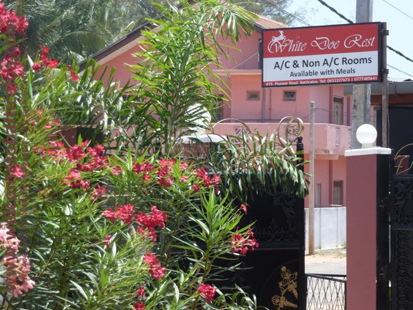White Doe Rest 02 - Batticaloa Guesthouse - Welcome to Batticaloa