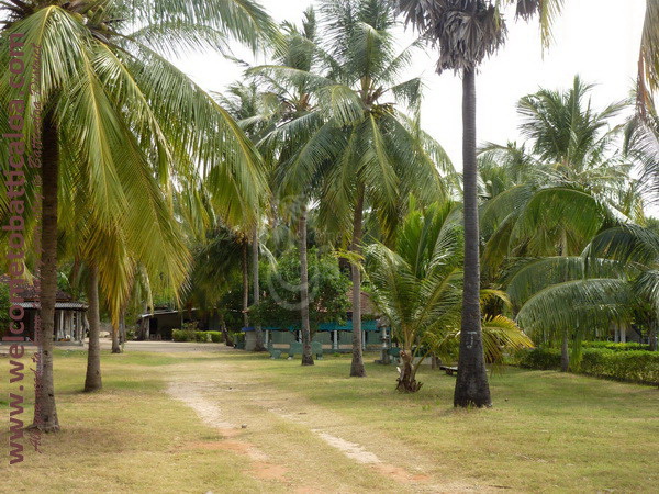 AHSRAM 04 - Passikudah Guesthouse - Welcome to Batticaloa (2)