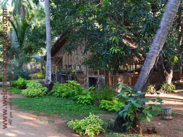Vasuki Guest House 15 - Passikudah Guesthouse - Welcome to Batticaloa