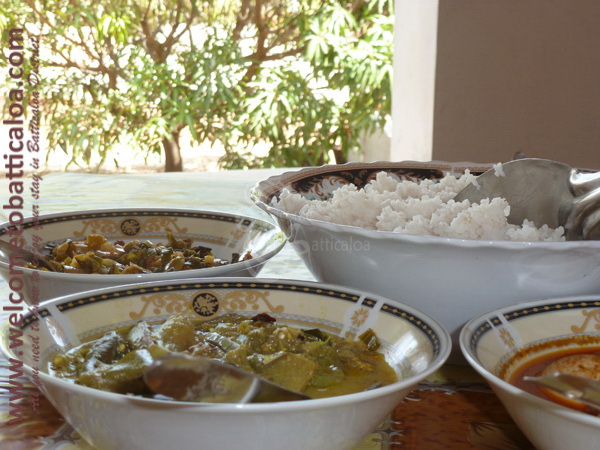 The New Land 28 - Kalkudah Guesthouse & Restaurant - Welcome to Batticaloa