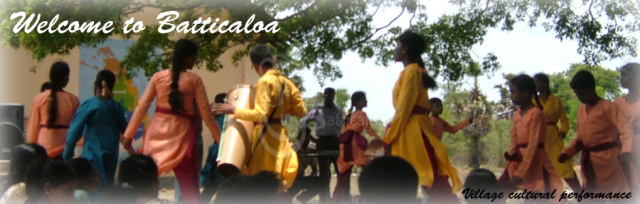 3 -Village cultural performance