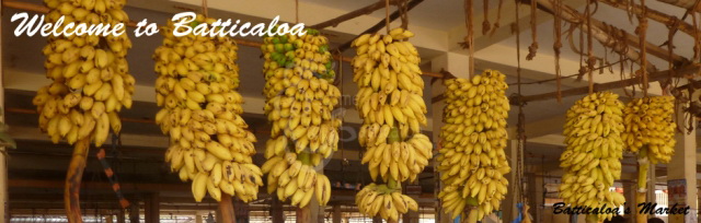 34 - Bananas Batti Market