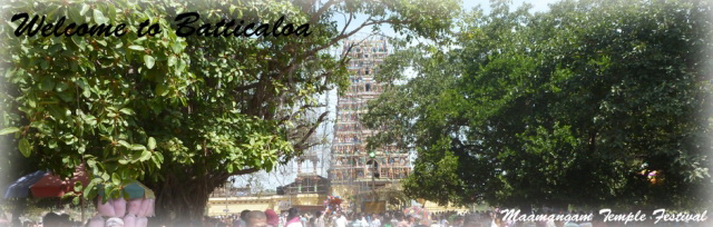 4 - Maamangam gopuram